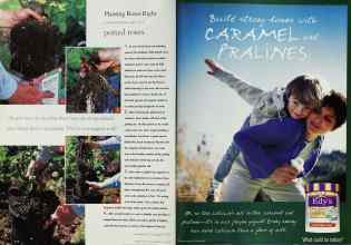 Better Homes & Gardens July 1998 Magazine Article: Page 114