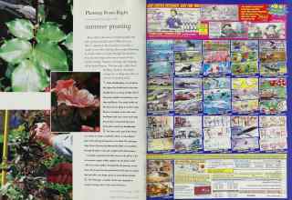 Better Homes & Gardens July 1998 Magazine Article: Page 118