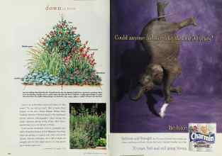 Better Homes & Gardens July 1998 Magazine Article: Page 124