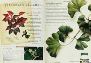 Better Homes & Gardens July 1998 Magazine Article: Page 132