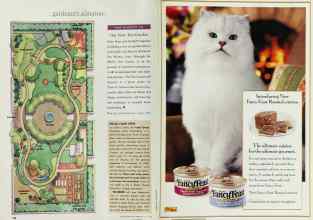 Better Homes & Gardens July 1998 Magazine Article: Page 136