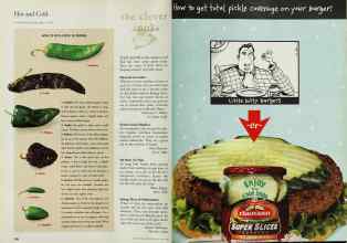 Better Homes & Gardens July 1998 Magazine Article: Page 208