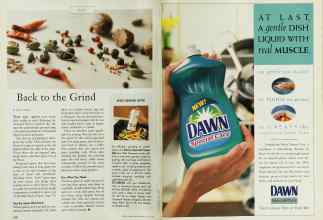 Better Homes & Gardens July 1998 Magazine Article: Page 210