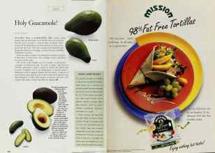 Better Homes & Gardens July 1998 Magazine Article: Page 234