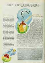 Better Homes & Gardens August 1998 Magazine Article: NEW NEIGHBORHOODS, OLD TREES