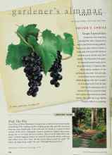 Better Homes & Gardens August 1998 Magazine Article: Grape Expectations