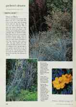 Better Homes & Gardens August 1998 Magazine Article: Views of Blues