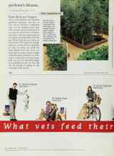 Better Homes & Gardens August 1998 Magazine Article: Raise Beds and Veggies