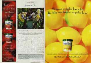 Better Homes & Gardens August 1998 Magazine Article: Page 64