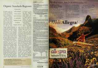 Better Homes & Gardens August 1998 Magazine Article: Page 80