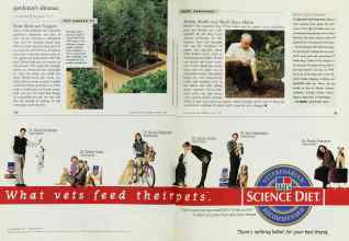 Better Homes & Gardens August 1998 Magazine Article: Page 134