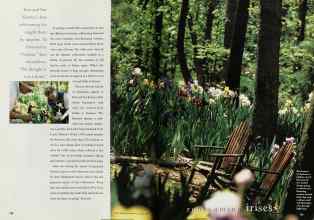 Better Homes & Gardens August 1998 Magazine Article: Page 138