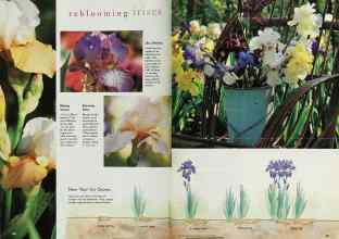 Better Homes & Gardens August 1998 Magazine Article: Page 140