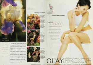 Better Homes & Gardens August 1998 Magazine Article: Page 142