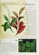 Better Homes & Gardens September 1998 Magazine Article: A quilted swath of green