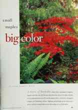 Better Homes & Gardens September 1998 Magazine Article: Small maples big color