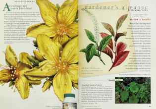 Better Homes & Gardens September 1998 Magazine Article: Page 162