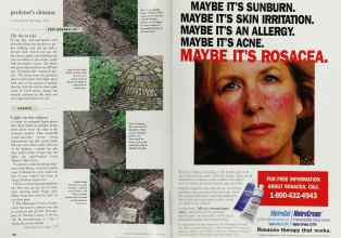 Better Homes & Gardens September 1998 Magazine Article: Page 168