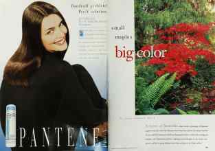 Better Homes & Gardens September 1998 Magazine Article: Page 184