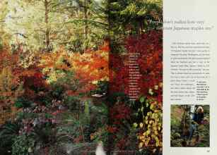 Better Homes & Gardens September 1998 Magazine Article: Page 186