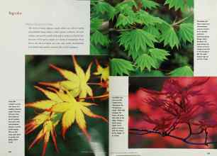 Better Homes & Gardens September 1998 Magazine Article: Page 188