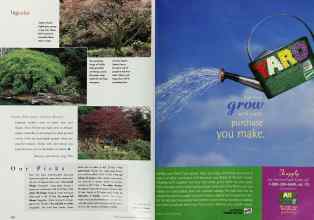 Better Homes & Gardens September 1998 Magazine Article: Page 192