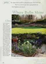 Better Homes & Gardens October 1998 Magazine Article: Where Bulbs Shine