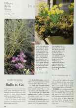 Better Homes & Gardens October 1998 Magazine Article: Bulbs to Go