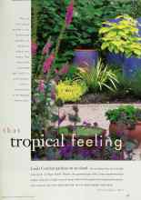 Better Homes & Gardens October 1998 Magazine Article: That tropical feeling
