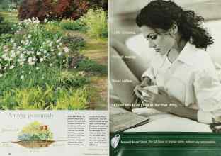 Better Homes & Gardens October 1998 Magazine Article: Page 162