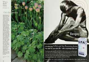 Better Homes & Gardens October 1998 Magazine Article: Page 164