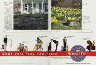 Better Homes & Gardens October 1998 Magazine Article: Page 166