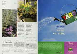 Better Homes & Gardens October 1998 Magazine Article: Page 168