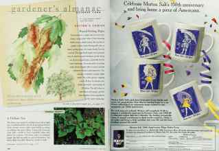 Better Homes & Gardens October 1998 Magazine Article: Page 170