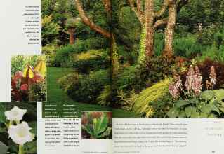 Better Homes & Gardens October 1998 Magazine Article: Page 182