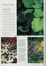 Better Homes & Gardens November 1998 Magazine Article: The bright stuff