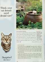 Better Homes & Gardens November 1998 Magazine Article: No-troubles bubbles