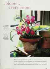 Better Homes & Gardens November 1998 Magazine Article: A bloom in every room