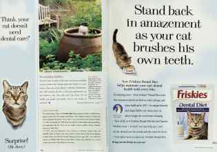 Better Homes & Gardens November 1998 Magazine Article: Page 178