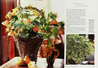 Better Homes & Gardens November 1998 Magazine Article: Page 182