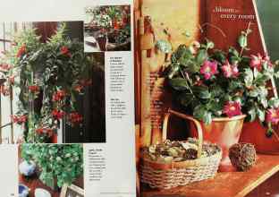 Better Homes & Gardens November 1998 Magazine Article: Page 184