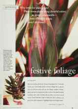 Better Homes & Gardens December 1998 Magazine Article: Festive foliage