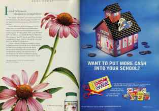 Better Homes & Gardens December 1998 Magazine Article: Page 62