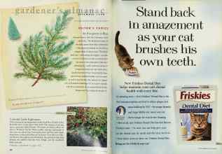 Better Homes & Gardens December 1998 Magazine Article: Page 100