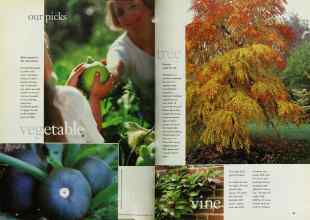 Better Homes & Gardens January 1999 Magazine Article: Page 64