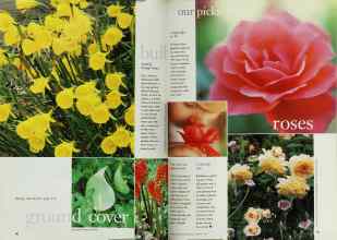 Better Homes & Gardens January 1999 Magazine Article: Page 66