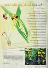 Better Homes & Gardens February 1999 Magazine Article: EDITOR'S CHOICE