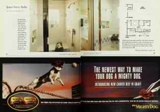 Better Homes & Gardens February 1999 Magazine Article: Page 54