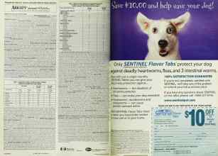 Better Homes & Gardens February 1999 Magazine Article: Page 90