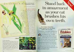 Better Homes & Gardens February 1999 Magazine Article: Page 102
